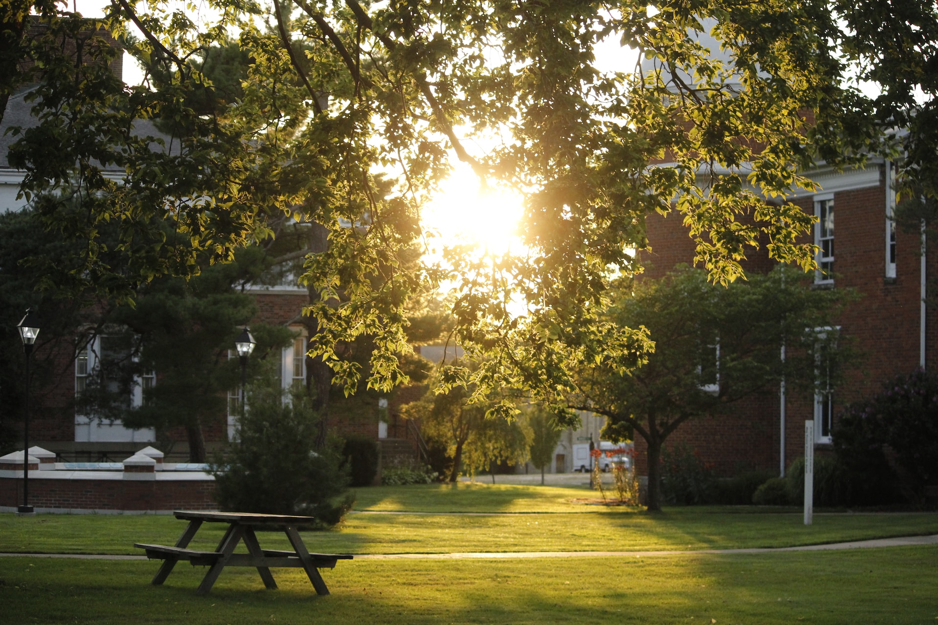 college campus on a sunny day with trees, tables and walkways in view