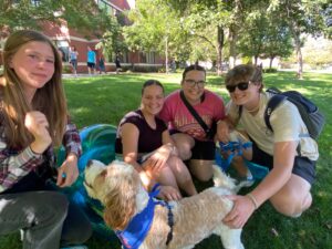 Students sit on a lawn with therapy dogs.